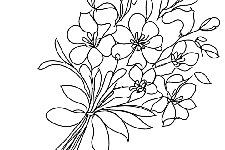 Bouquet of Flowers