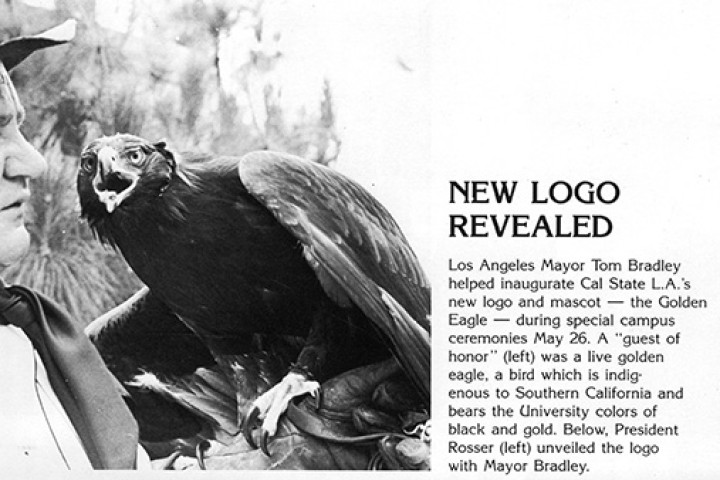 A live golden eagle being held by a person, alongside a blurb announcing the new Cal State LA mascot.