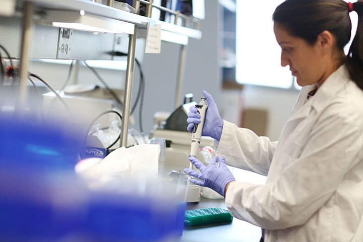 Student extracting samples