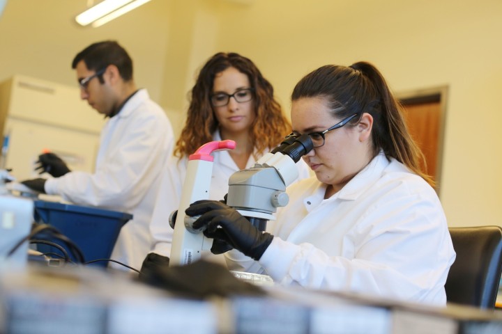 students in lab