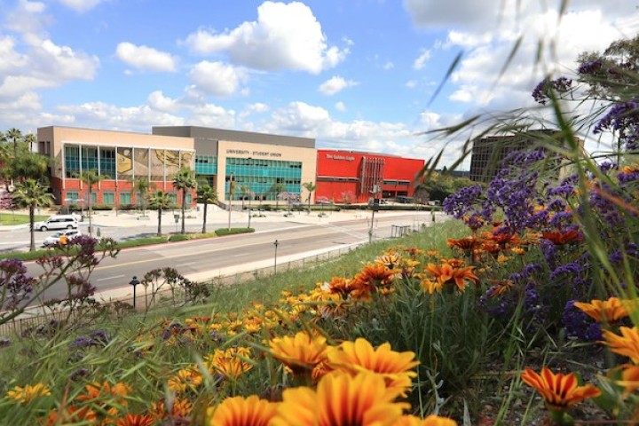 The University-Student Union building on a sunny day with flowers in the foreground