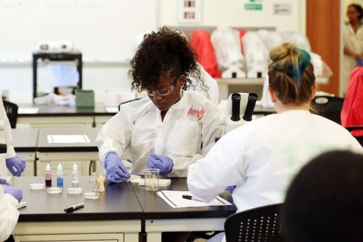 Students in forensic lab testing samples