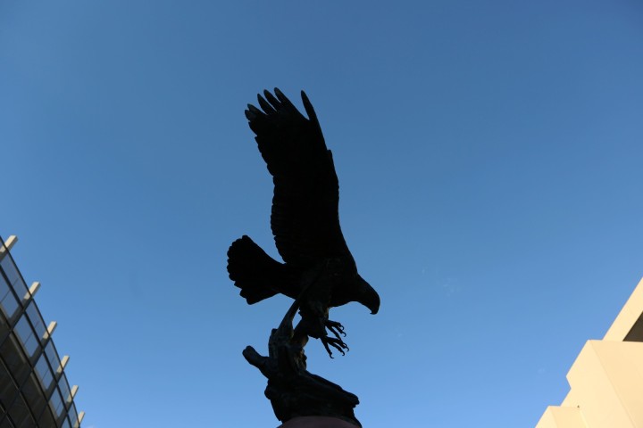 Statue of a golden eagle