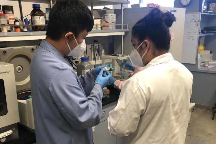 student with mentor in lab
