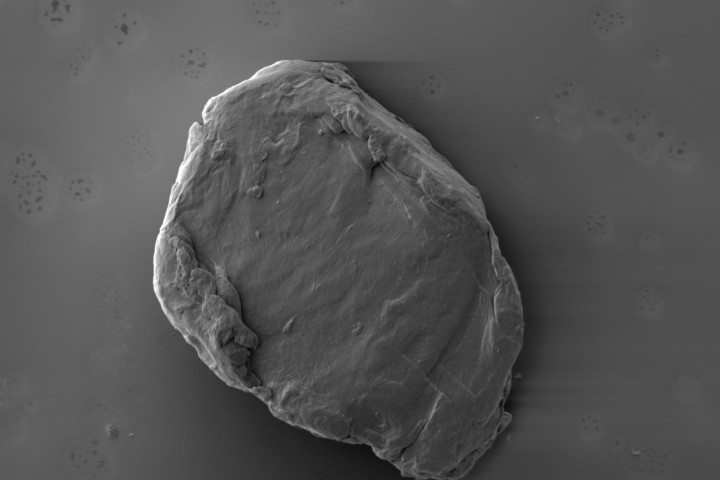 microplastics SEM