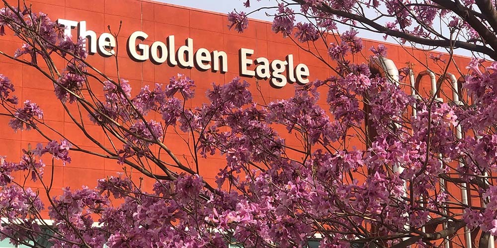 The Golden Eagle Building