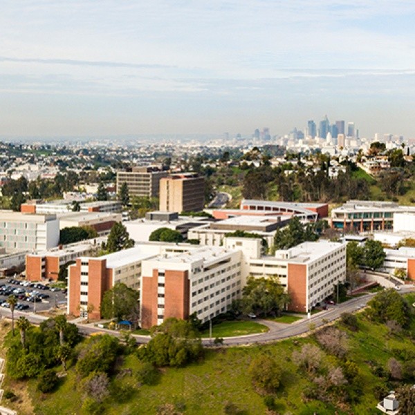 california state university los angeles essay requirements