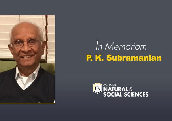 P.K. Subramanian wearing a dark v-neck sweater with a white dress shirt underneath
