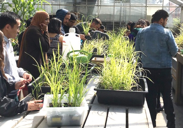 Cal State LA students observing the different plants in a greenhouse
