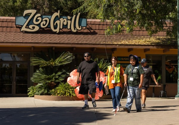 Participant uses a white cane while walking alongside event staff and attendees near the LA Zoo entrance during a Cane Quest program. 