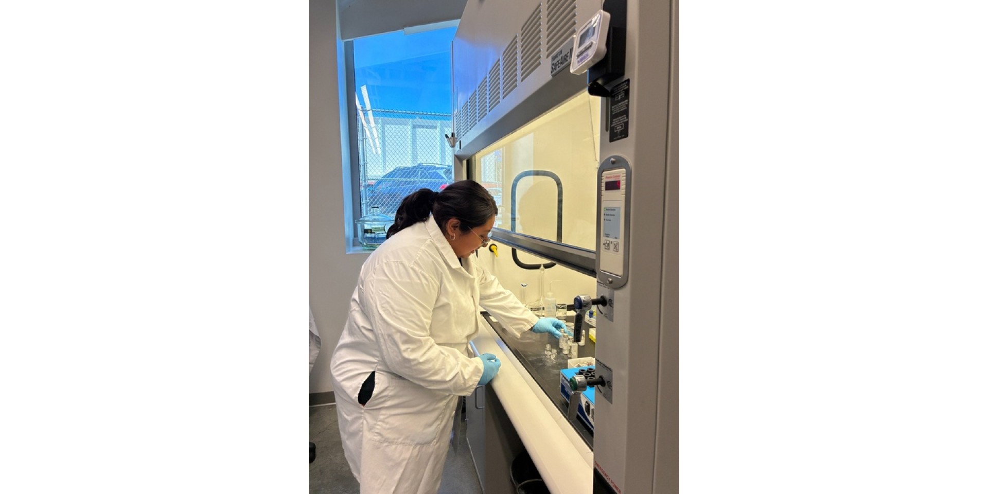michele lab
