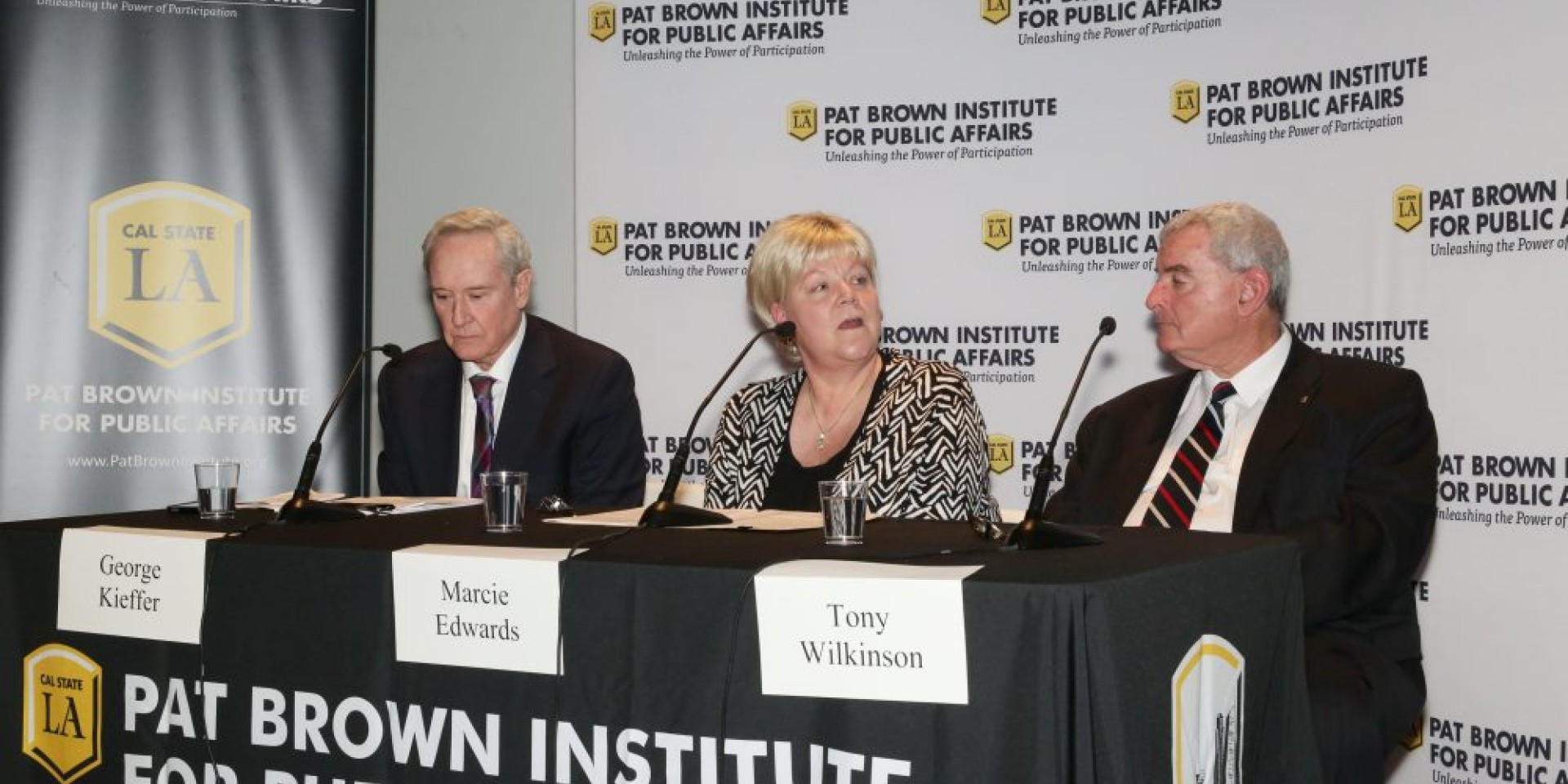 LADWP panel