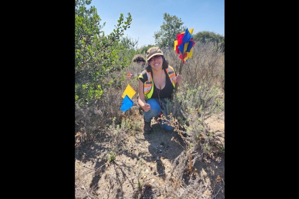 Student crouched next to bush on a sunny day holding multiple flags to place in the dirt.
