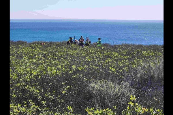field along the coast with a group of students in the distance. 