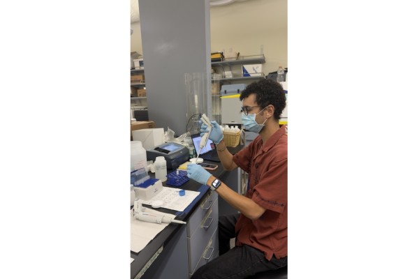 lab2