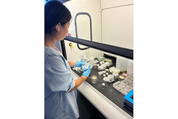 allison lab
