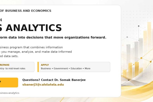 MS Business Analytics