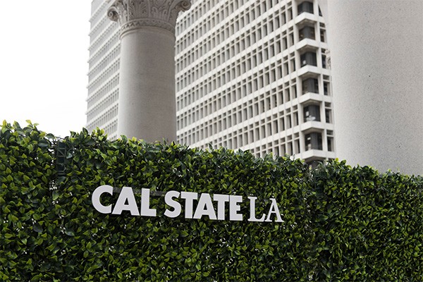 hedge with cal state la plastic lettering