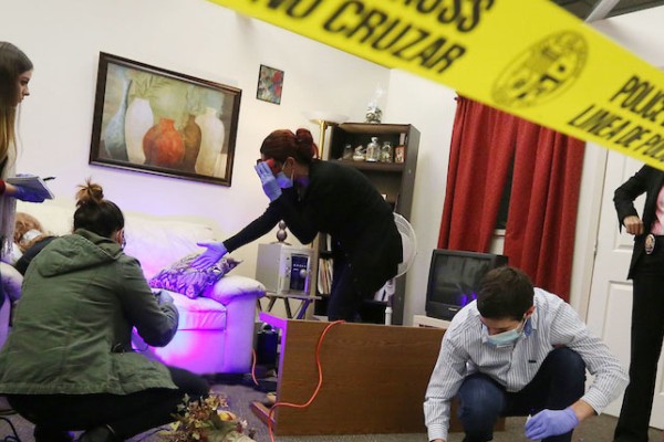 Image of a mock crime scene with caution tape and black lights, with forensic students investigating. 