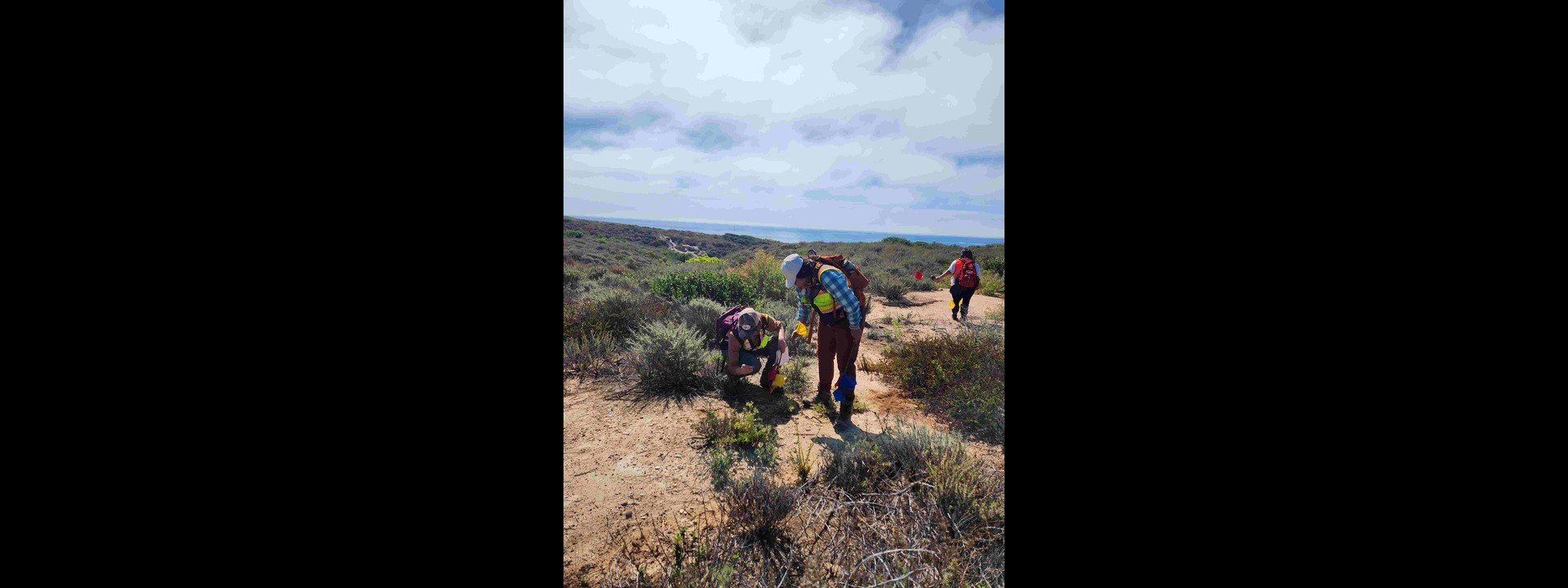 Two people are examining flag placement in the dirt with another student with a safety vest on in the background places a flag.