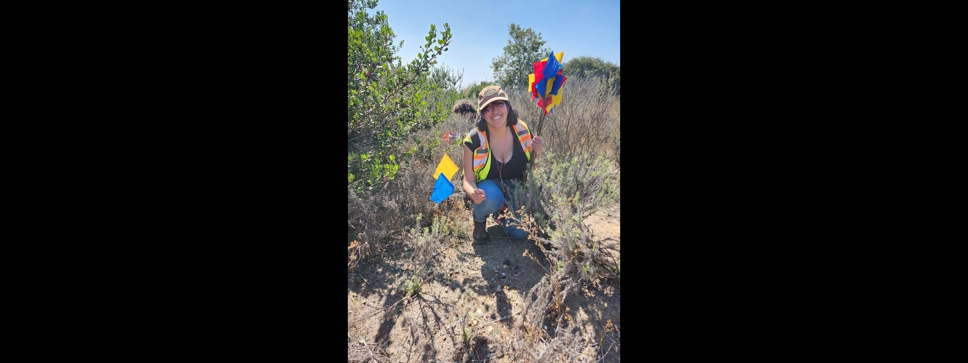 Student crouched next to bush on a sunny day holding multiple flags to place in the dirt.