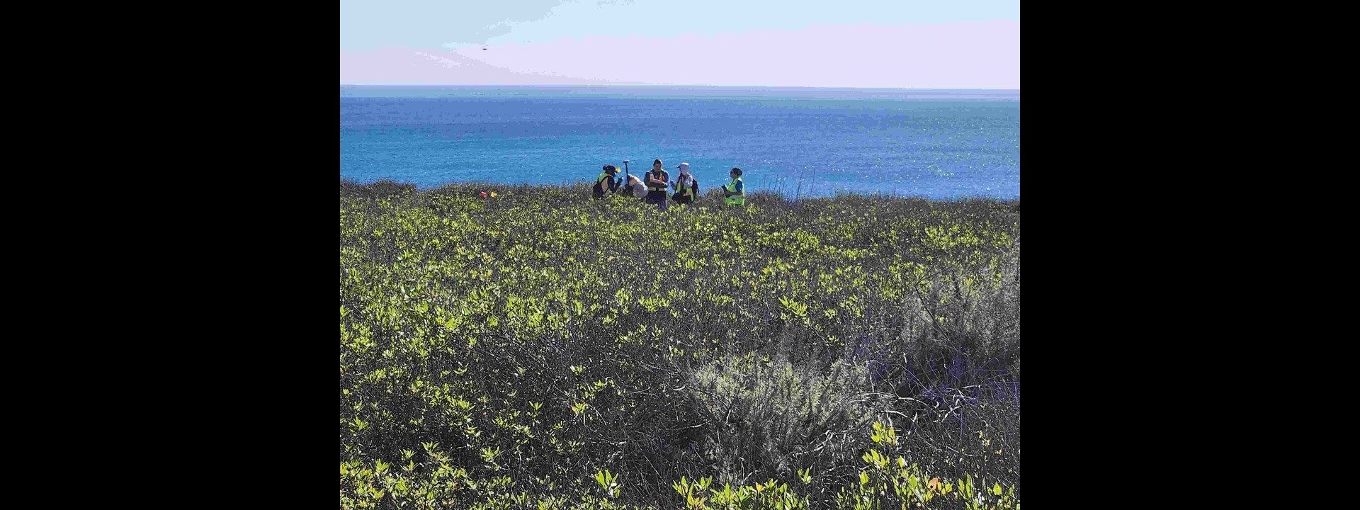 field along the coast with a group of students in the distance. 