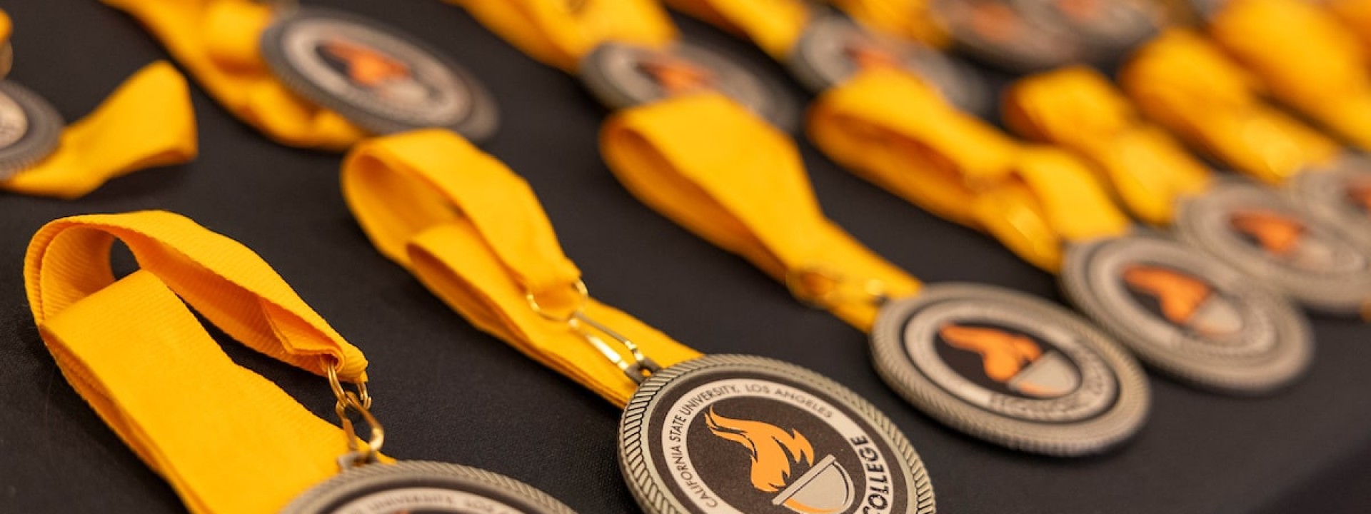 Honors college medals on table