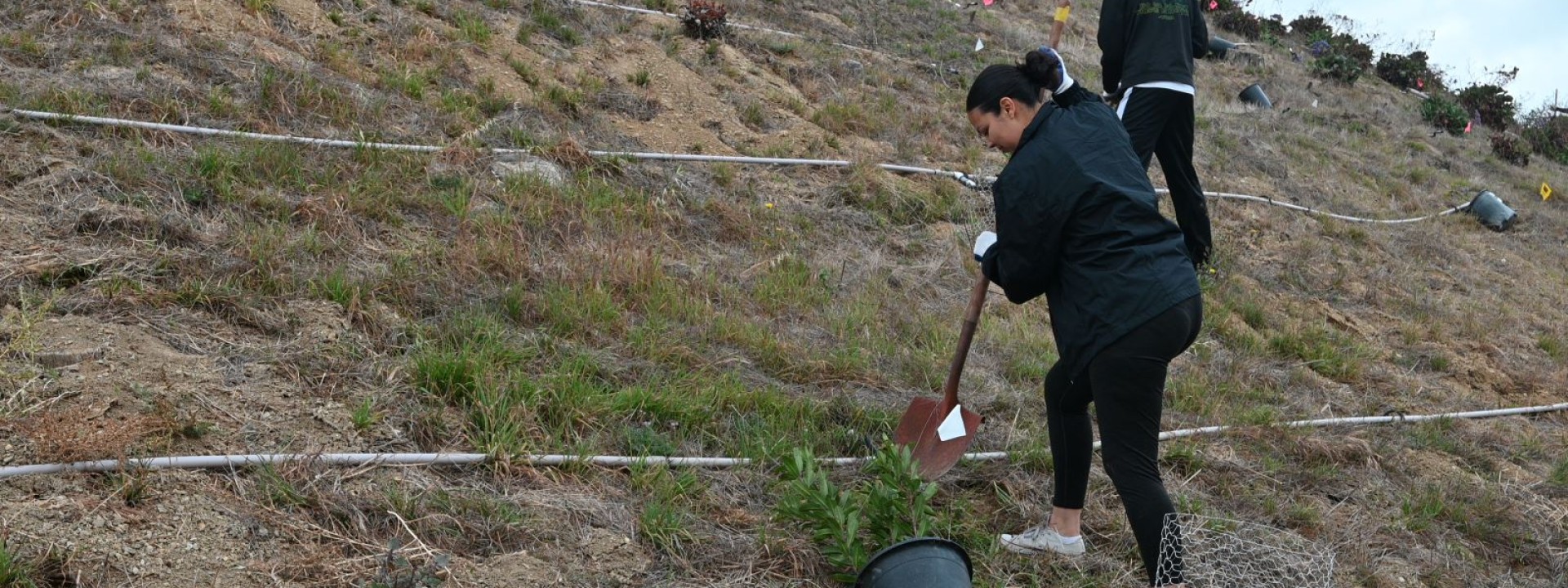 Fellow digging a hole to plant a tree.