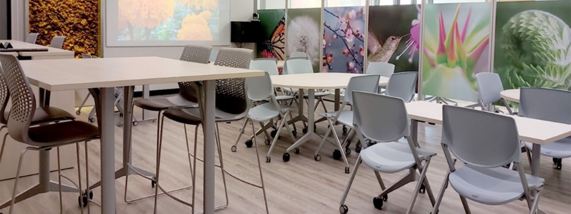 mind matters classroom