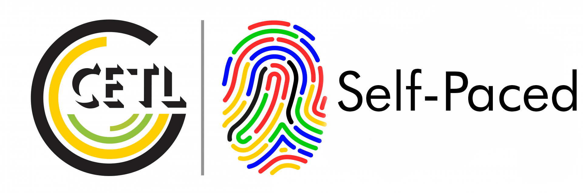 Teach Program Self Paced Logo