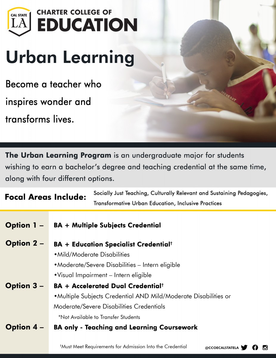 ULRN ITEP Options Flyer