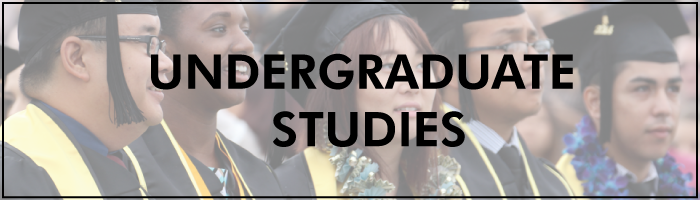 Undergraduate Studies