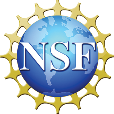 national science foundation logo