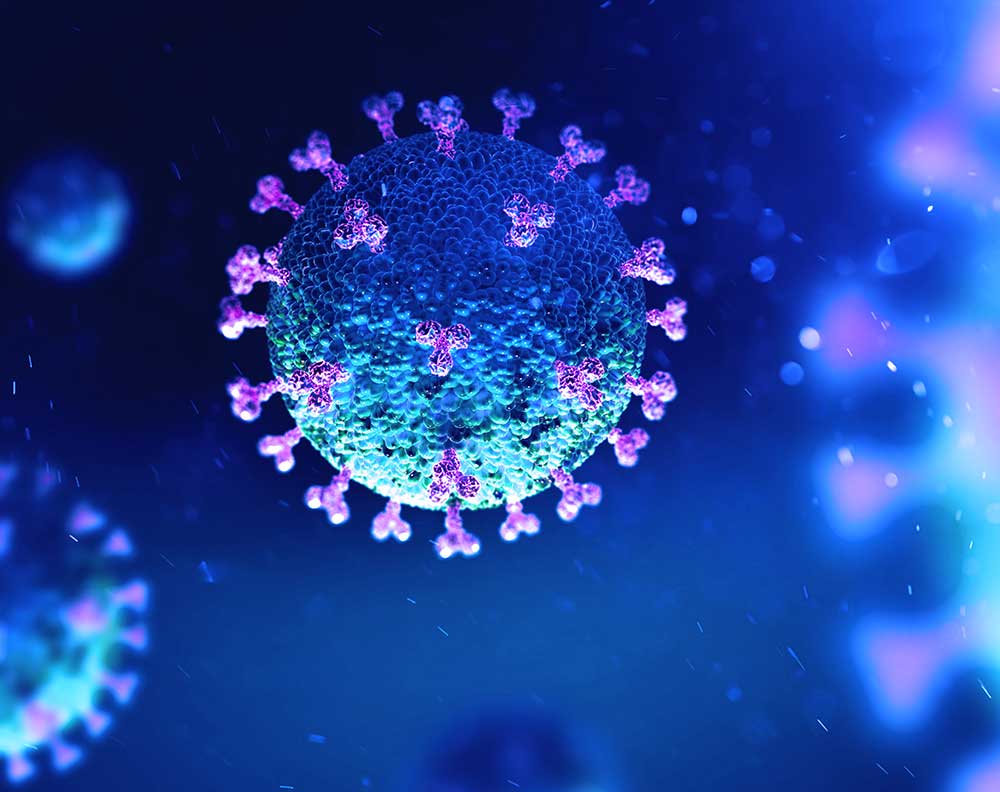 coronavirus rendering