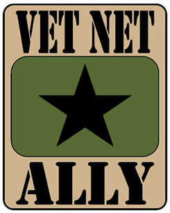 Vet Net Ally log in military colors.