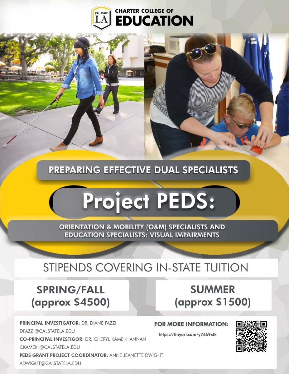 Visual Impairments and O&M OSEP PEDS Flyer