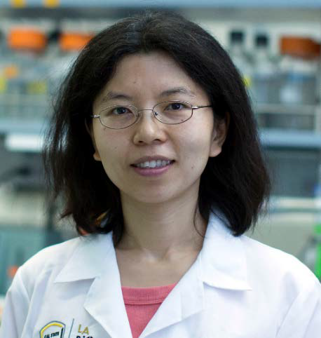 Dr. Xin Wen