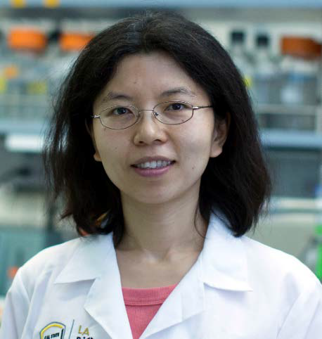 Xin Wen